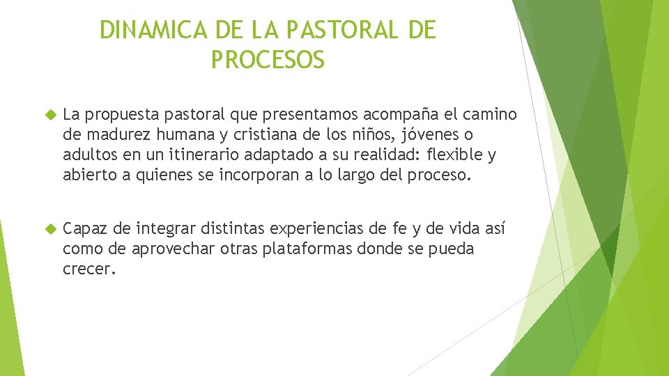 DINAMICA DE LA PASTORAL DE PROCESOS La propuesta pastoral que presentamos acompaña el camino