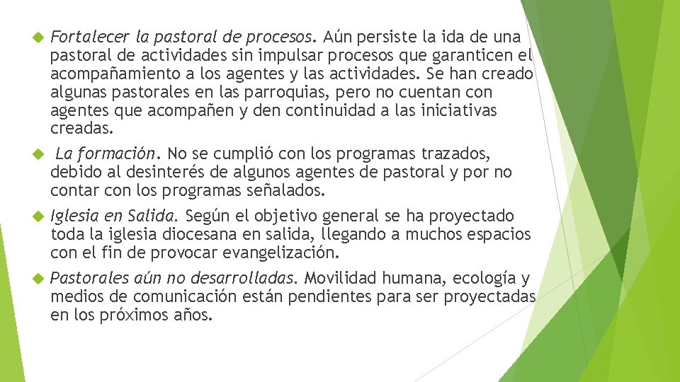 Fortalecer la pastoral de procesos. Aún persiste la ida de una pastoral de actividades