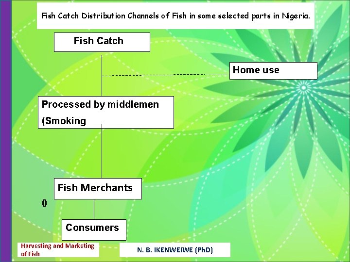 Fish Catch Distribution Channels of Fish in some selected parts in Nigeria. Fish Catch