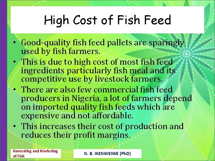 High Cost of Fish Feed • Good-quality fish feed pallets are sparingly used by