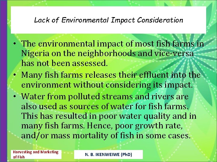 Lack of Environmental Impact Consideration • The environmental impact of most fish farms in