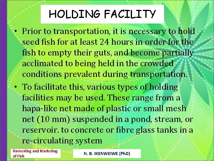 HOLDING FACILITY • Prior to transportation, it is necessary to hold seed fish for