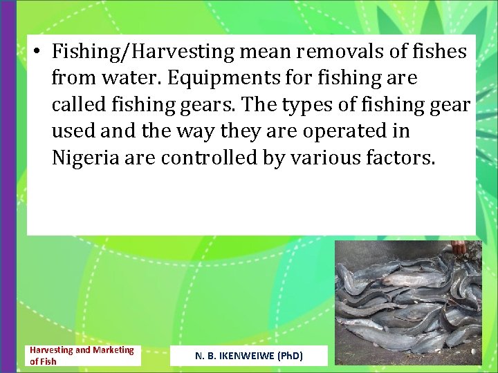  • Fishing/Harvesting mean removals of fishes from water. Equipments for fishing are called