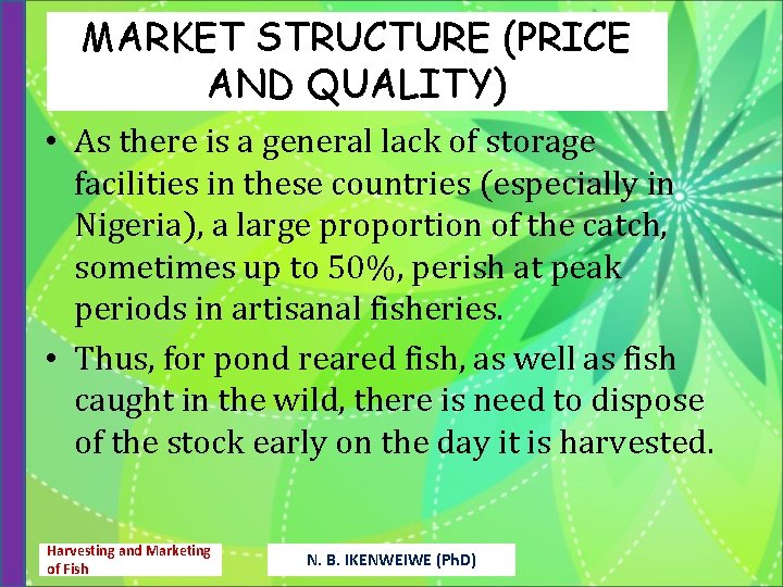 MARKET STRUCTURE (PRICE AND QUALITY) • As there is a general lack of storage