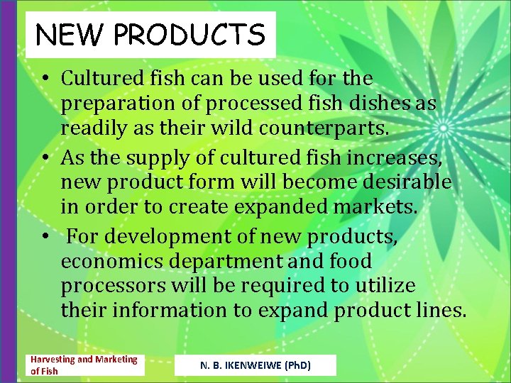 NEW PRODUCTS • Cultured fish can be used for the preparation of processed fish