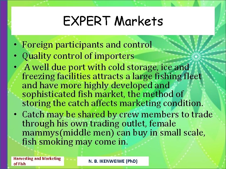 EXPERT Markets • Foreign participants and control • Quality control of importers • A