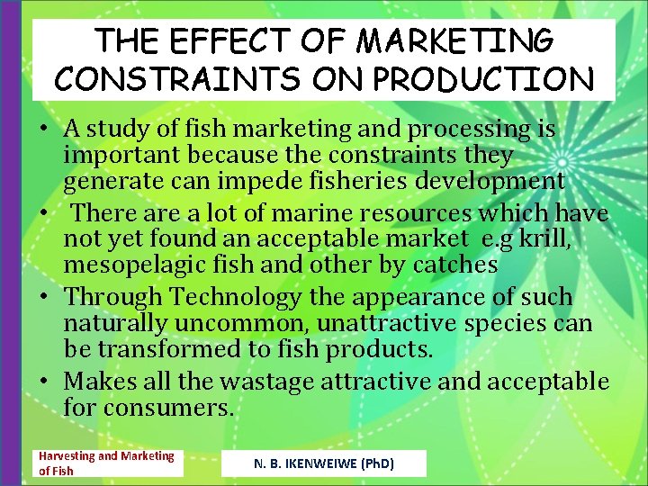 THE EFFECT OF MARKETING CONSTRAINTS ON PRODUCTION • A study of fish marketing and