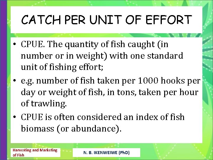 CATCH PER UNIT OF EFFORT • CPUE. The quantity of fish caught (in number