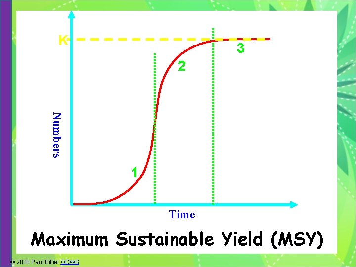 K 3 2 Numbers 1 Time Maximum Sustainable Yield (MSY) © 2008 Paul Billiet