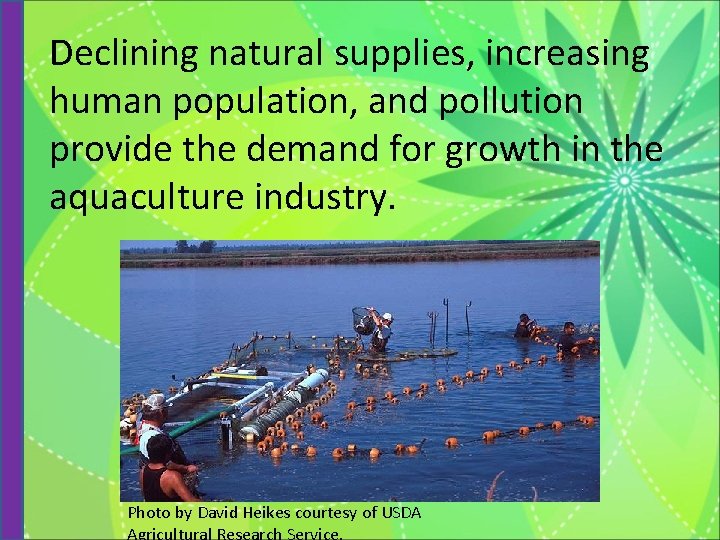 Declining natural supplies, increasing human population, and pollution provide the demand for growth in