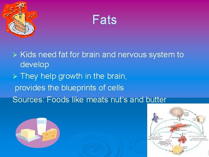 Fats Kids need fat for brain and nervous system to develop Ø They help