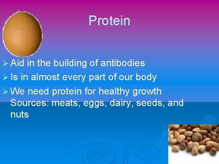 Protein Ø Aid in the building of antibodies Ø Is in almost every part