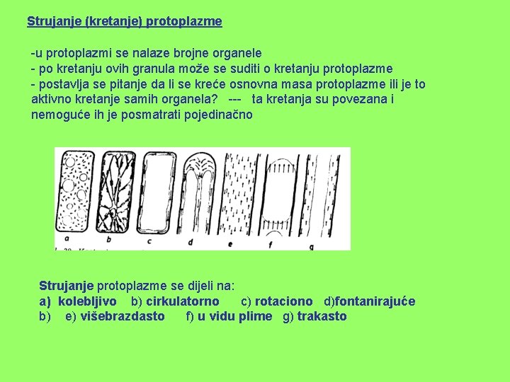 Strujanje (kretanje) protoplazme -u protoplazmi se nalaze brojne organele - po kretanju ovih granula