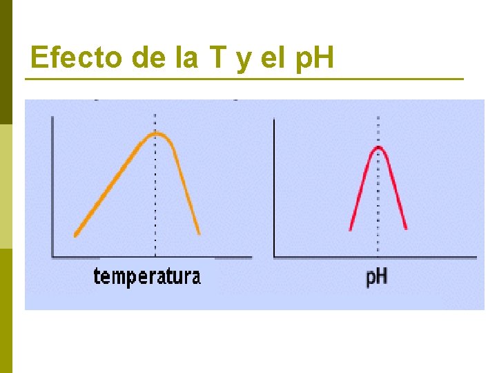 Efecto de la T y el p. H 