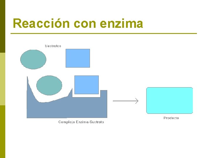 Reacción con enzima 