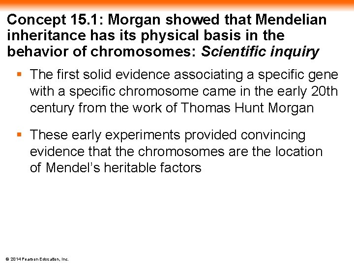 Concept 15. 1: Morgan showed that Mendelian inheritance has its physical basis in the