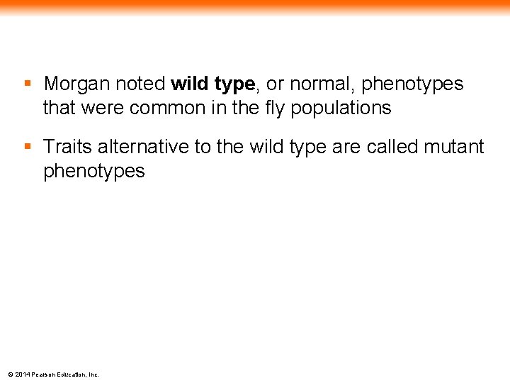 § Morgan noted wild type, or normal, phenotypes that were common in the fly