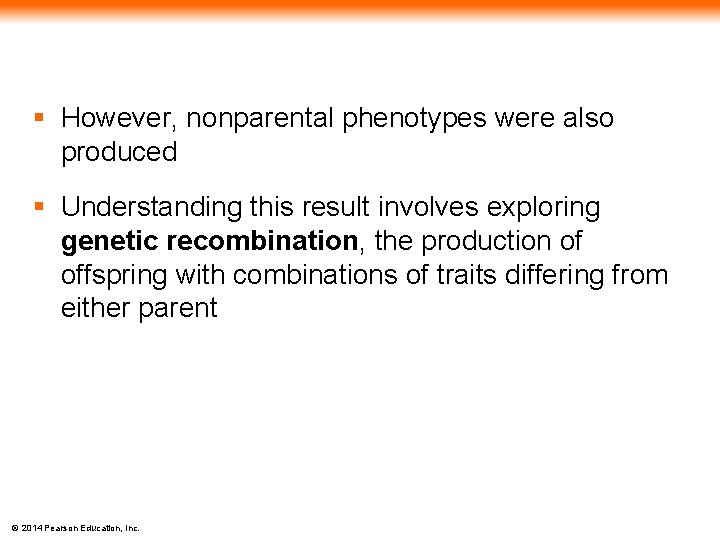 § However, nonparental phenotypes were also produced § Understanding this result involves exploring genetic