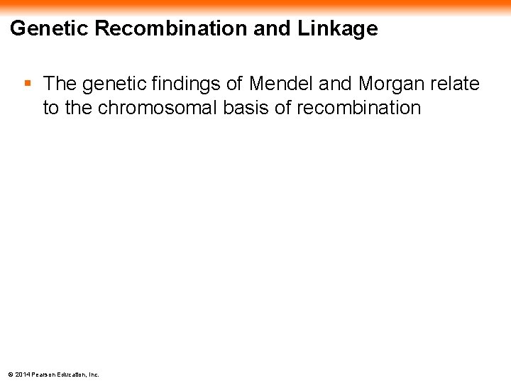 Genetic Recombination and Linkage § The genetic findings of Mendel and Morgan relate to