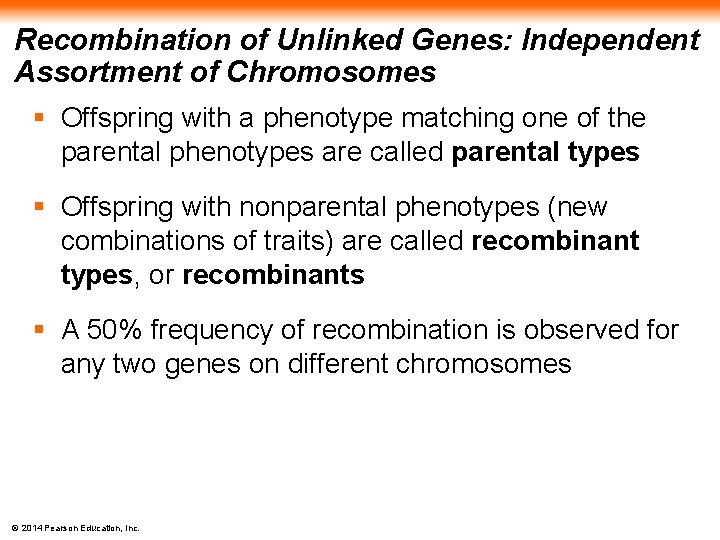 Recombination of Unlinked Genes: Independent Assortment of Chromosomes § Offspring with a phenotype matching