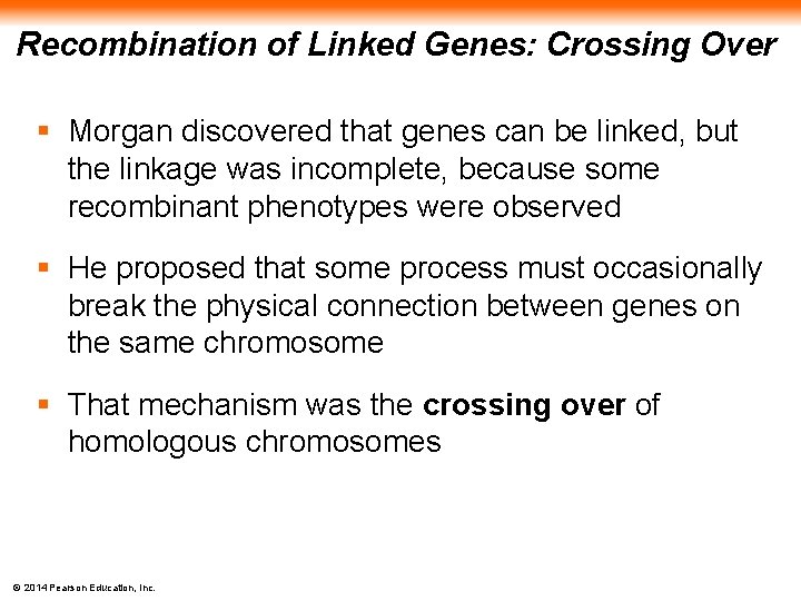 Recombination of Linked Genes: Crossing Over § Morgan discovered that genes can be linked,