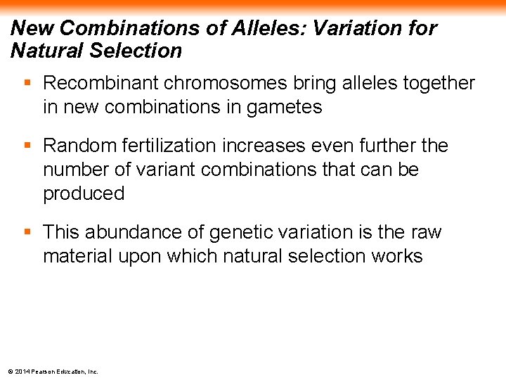 New Combinations of Alleles: Variation for Natural Selection § Recombinant chromosomes bring alleles together