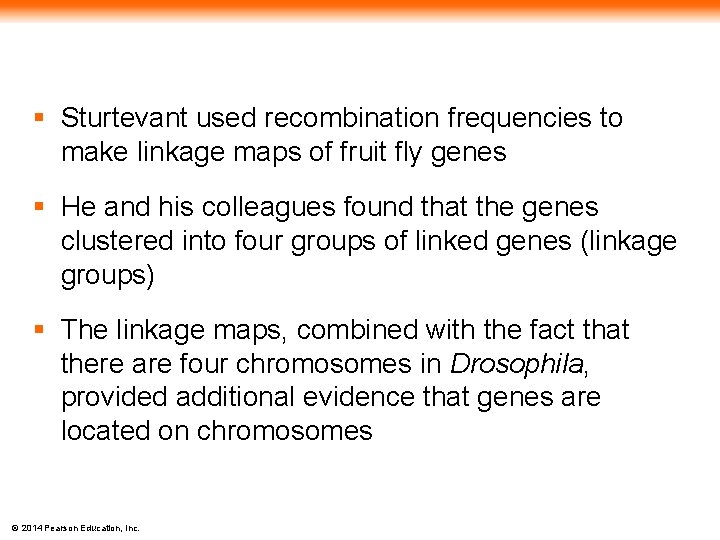 § Sturtevant used recombination frequencies to make linkage maps of fruit fly genes §