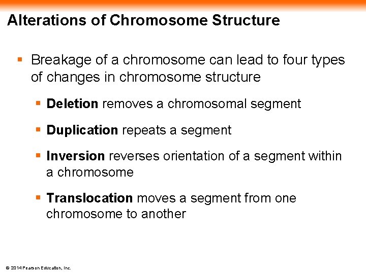 Alterations of Chromosome Structure § Breakage of a chromosome can lead to four types