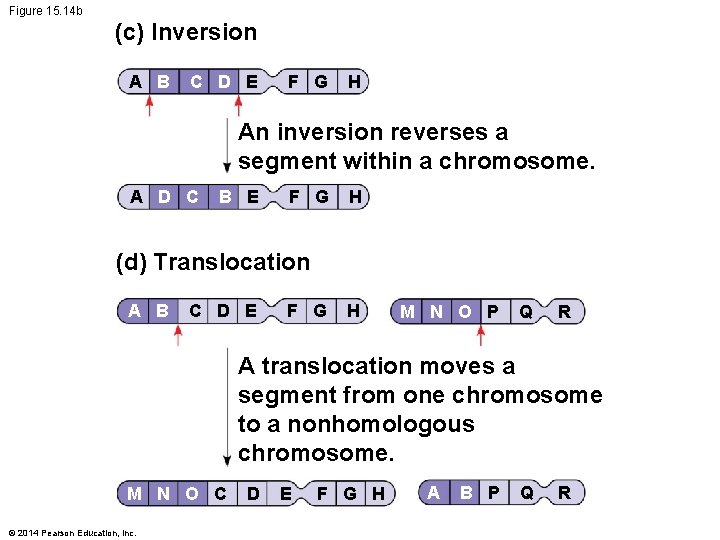 Figure 15. 14 b (c) Inversion A B C D E F G H