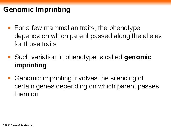 Genomic Imprinting § For a few mammalian traits, the phenotype depends on which parent