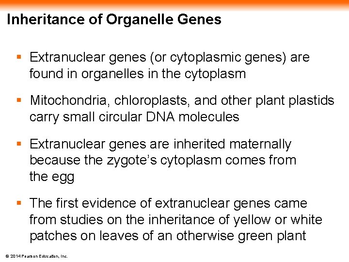 Inheritance of Organelle Genes § Extranuclear genes (or cytoplasmic genes) are found in organelles