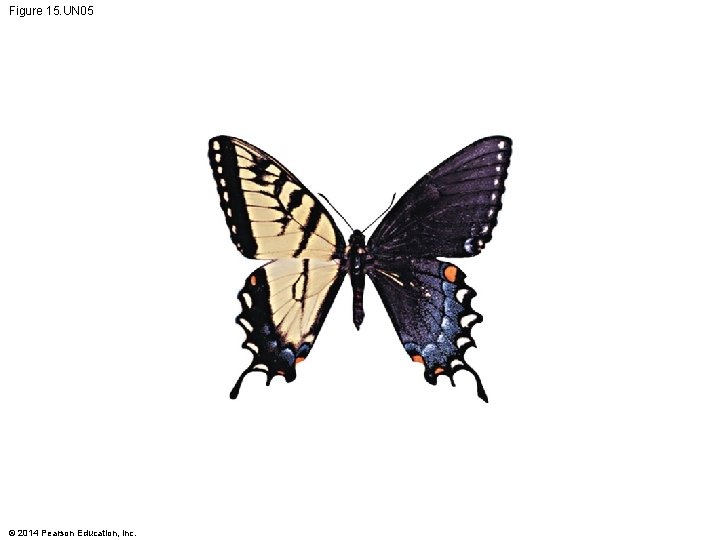 Figure 15. UN 05 © 2014 Pearson Education, Inc. 