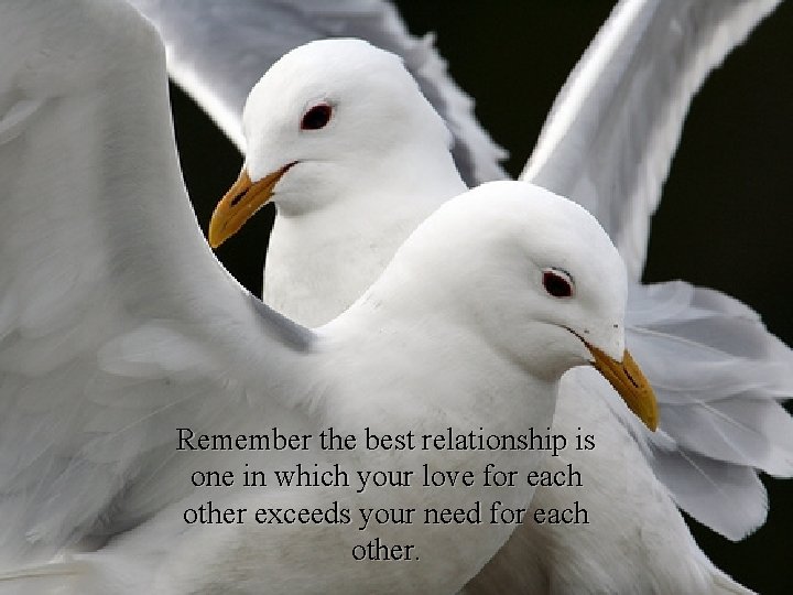 Remember the best relationship is one in which your love for each other exceeds