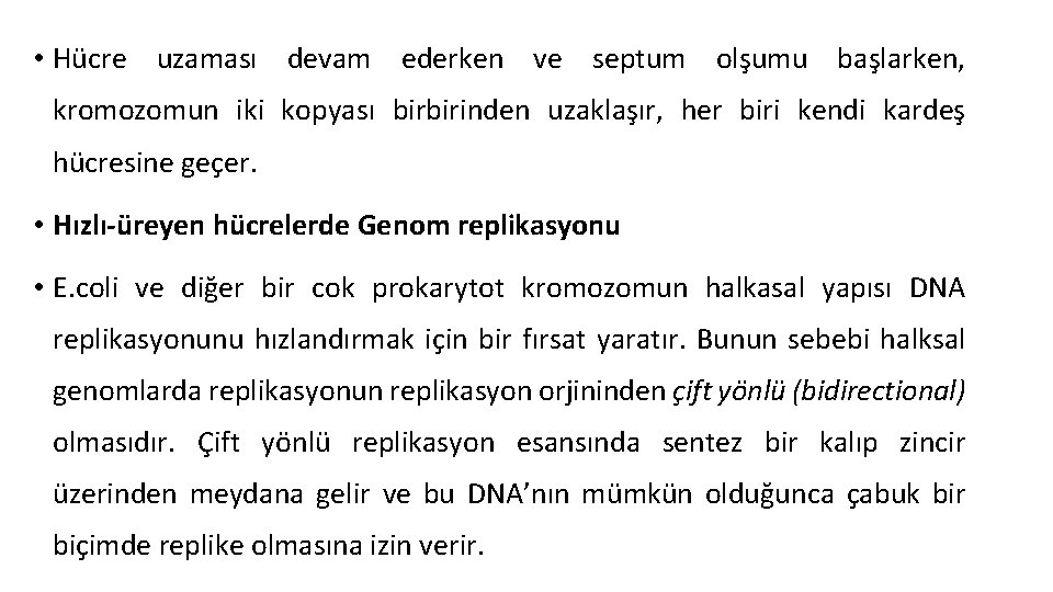  • Hücre uzaması devam ederken ve septum olşumu başlarken, kromozomun iki kopyası birbirinden