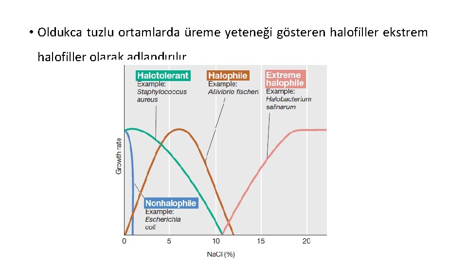  • Oldukca tuzlu ortamlarda üreme yeteneği gösteren halofiller ekstrem halofiller olarak adlandırılır. 