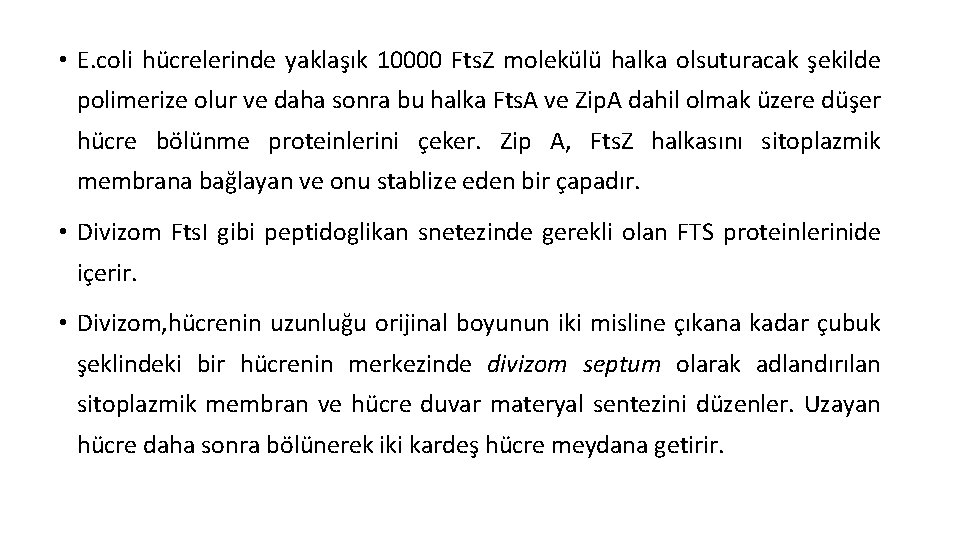  • E. coli hücrelerinde yaklaşık 10000 Fts. Z molekülü halka olsuturacak şekilde polimerize