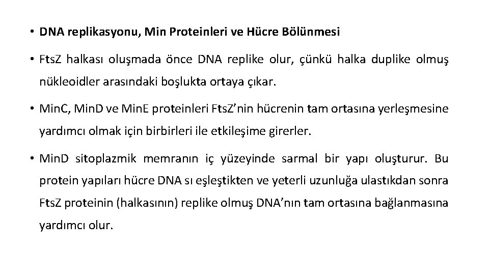  • DNA replikasyonu, Min Proteinleri ve Hücre Bölünmesi • Fts. Z halkası oluşmada