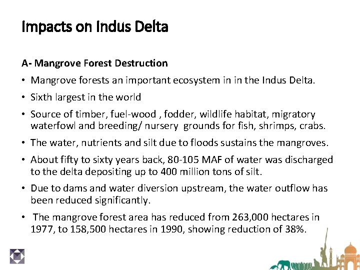 Impacts on Indus Delta A- Mangrove Forest Destruction • Mangrove forests an important ecosystem