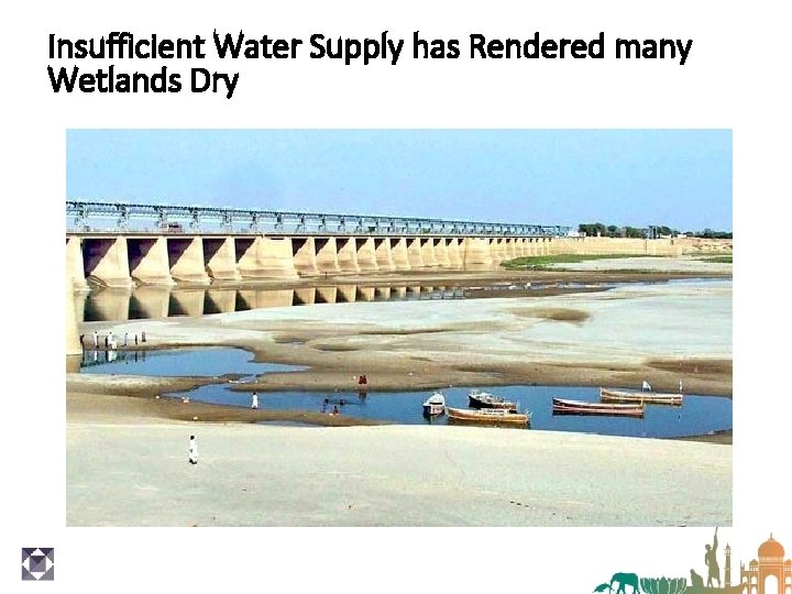 Insufficient Water Supply has Rendered many Wetlands Dry 