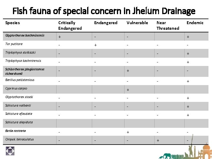 Fish fauna of special concern in Jhelum Drainage Species Critically Endangered Vulnerable Near Threatened