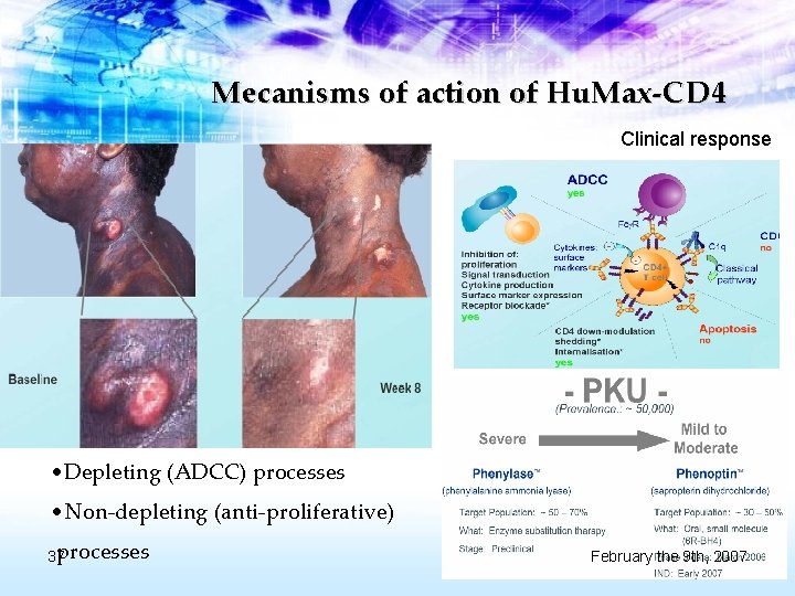 Mecanisms of action of Hu. Max-CD 4 Clinical response • Depleting (ADCC) processes •