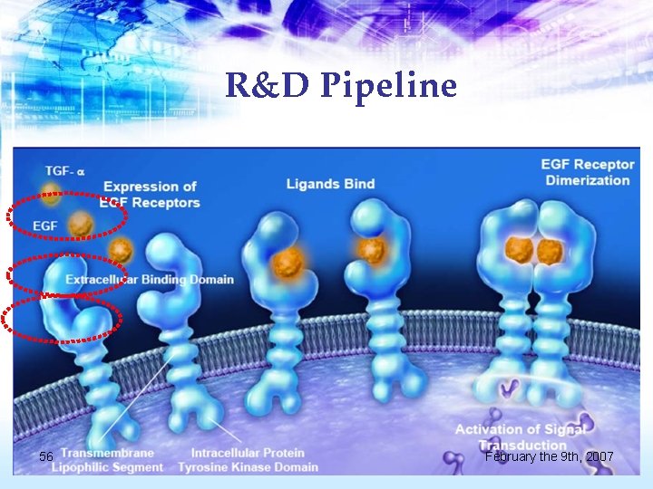 R&D Pipeline 56 February the 9 th, 2007 