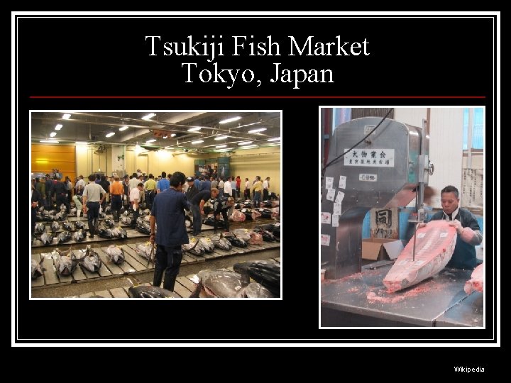 Tsukiji Fish Market Tokyo, Japan Wikipedia 