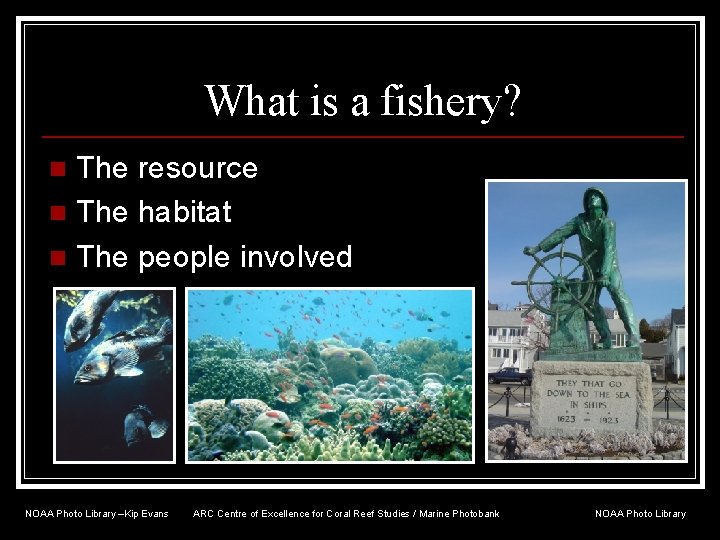 What is a fishery? The resource n The habitat n The people involved n