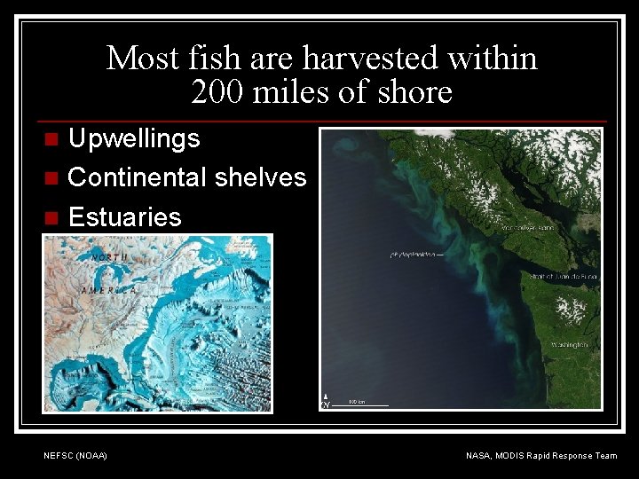 Most fish are harvested within 200 miles of shore Upwellings n Continental shelves n