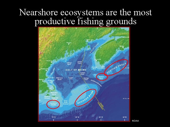 Nearshore ecosystems are the most productive fishing grounds NOAA 