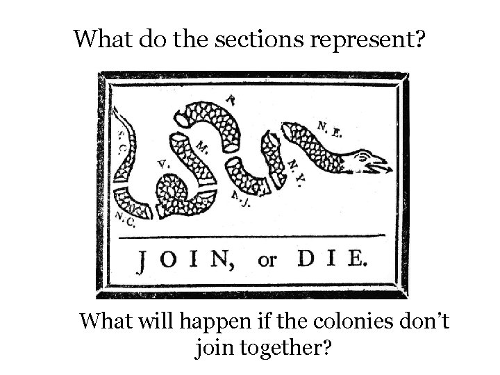 What do the sections represent? What will happen if the colonies don’t join together?