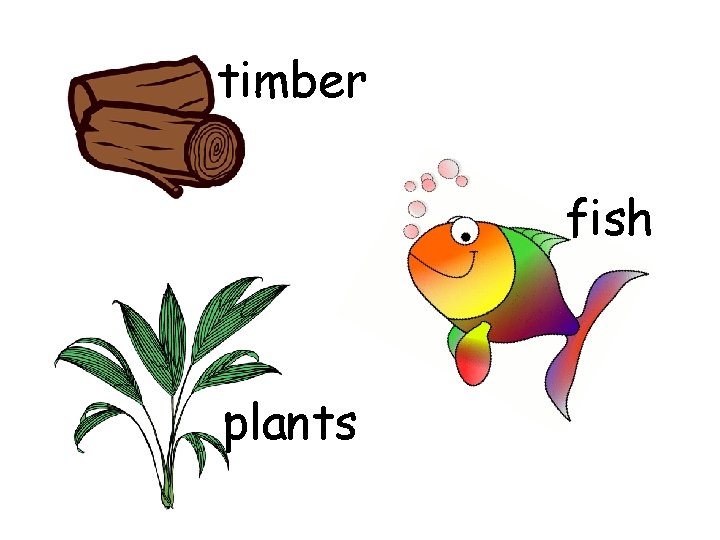 timber fish plants 
