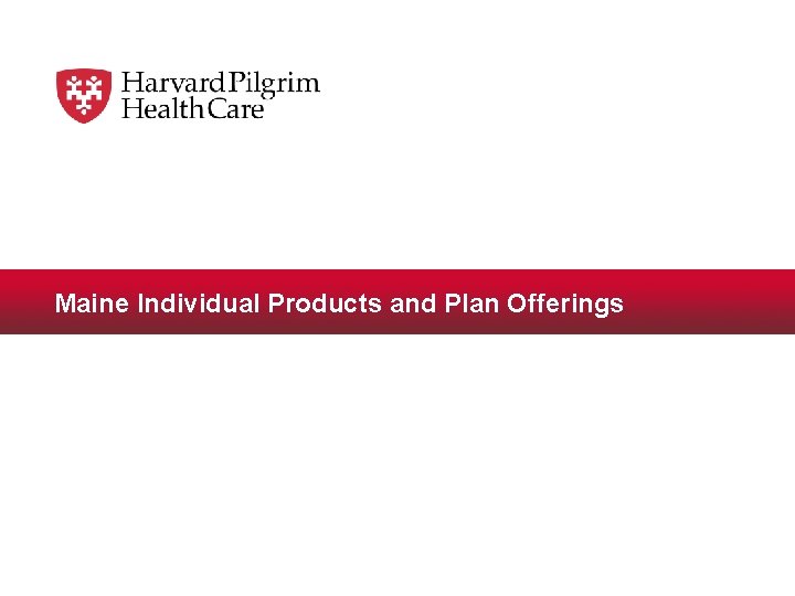 Maine Individual Products and Plan Offerings 