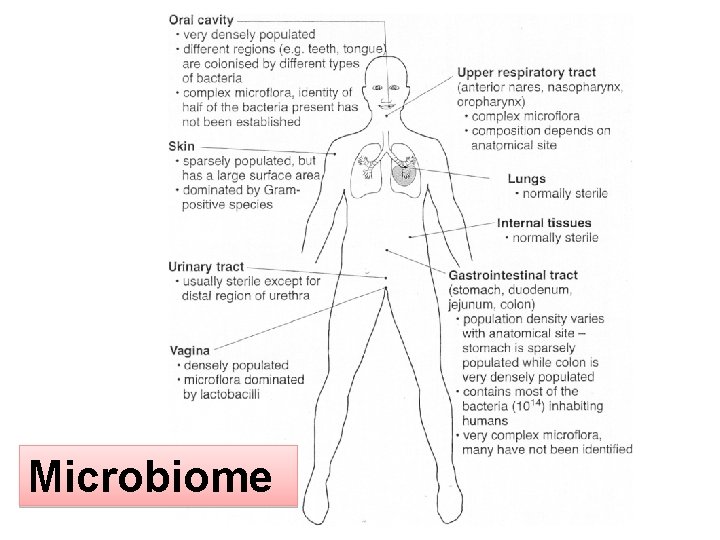 Microbiome 